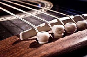 cat_cordechitacustica